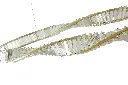 A00199 close up shot -4 white background.webp