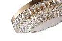 A00195 close up shot -2 white background.webp
