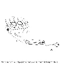 TILDA DL2.webp