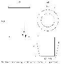 LUC G3.webp