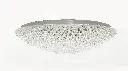 LILAC OY40 01 (1).webp