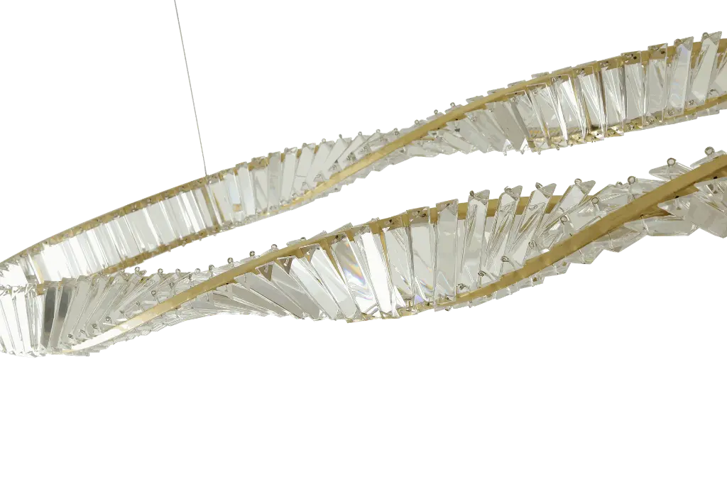 A00199 close up shot -4 transparent background.webp