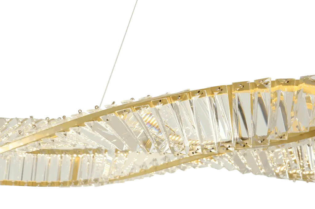 A00199 close up shot -2 transparent background.webp
