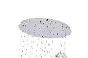 P01CH 5 JPG.webp