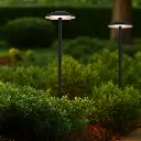 LUC PT5-BK324_LS.webp