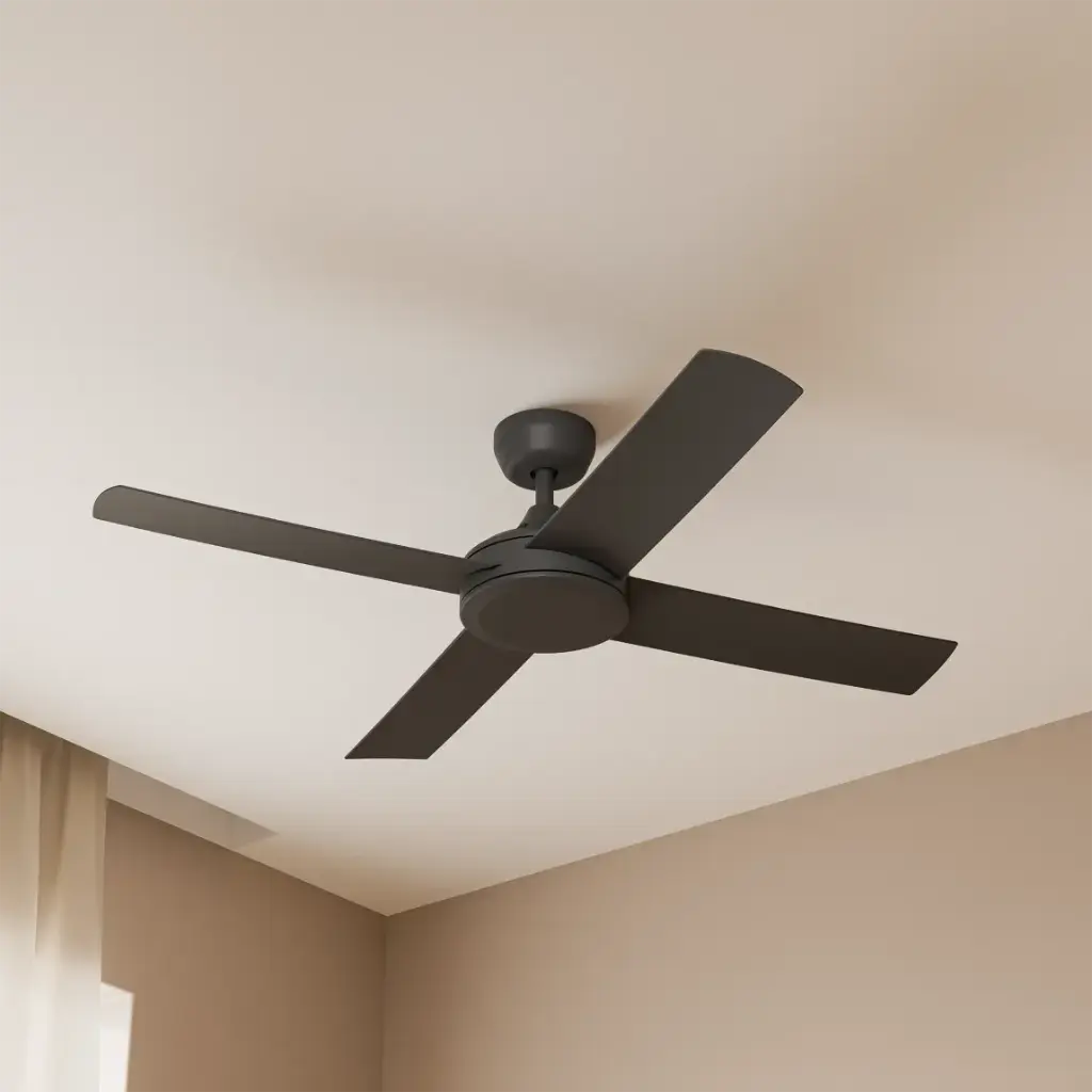 35615ee880eaf-3043-402b-912c-33a9674cfc46 (1).webp