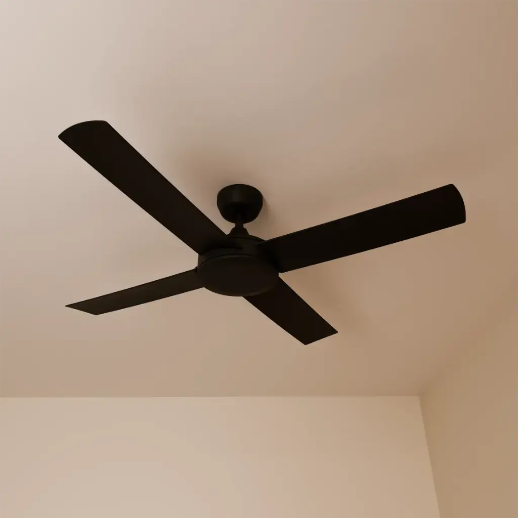 35615b96d2367-2952-4fd3-b4ae-3fd35889e132 (1).webp