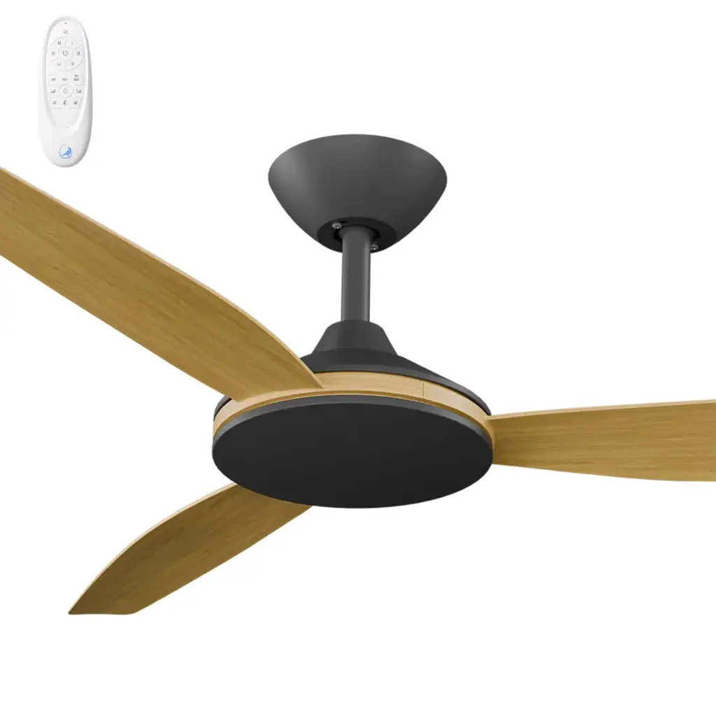 316036022dc82-e3ed-45dc-9491-d805b51e90ee (1).webp