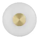 AMITY WB25-BRSOP 3.webp