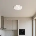 ELTZ OY40-CL3C_LS.webp