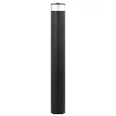 NORAL EX.P-BKCL 3.webp