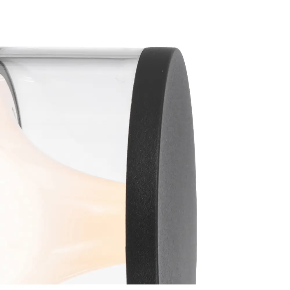 NORAL EX-BKCL 4.webp