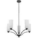 BREVAN PE5-BKMB 2.webp