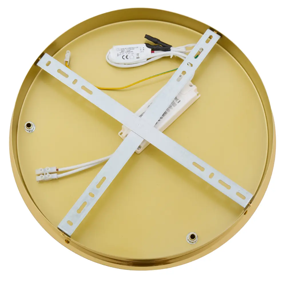 ERIKA PE1T-GD 4.webp