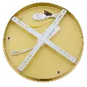 ERIKA PE1T-GD 4.webp