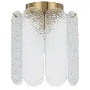 SAMONA BF-AGCL 3.webp