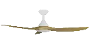 2594002230148-8961-4f98-acaf-326f4a018e20.webp