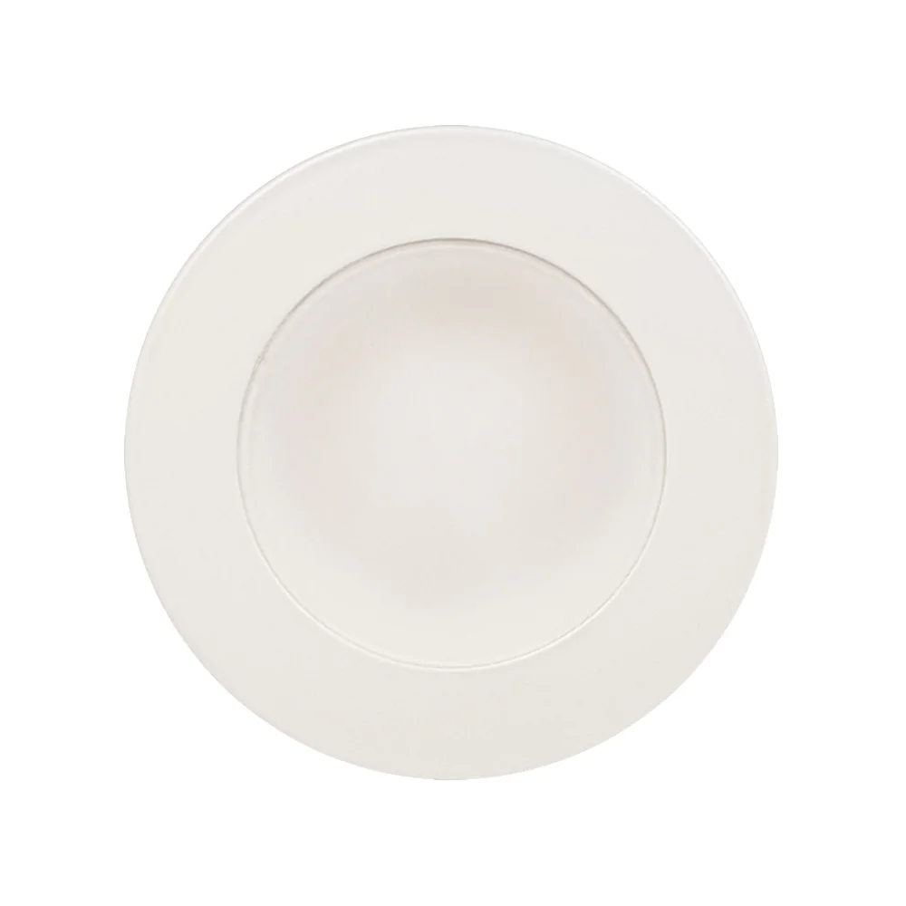 801 DOWNLIGHT FRAME ONLY with TWIST-ON SYS