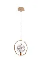 JOLIE GOLD 1 LIGHT PENDANT