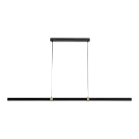 AQUILA 2M PENDANT