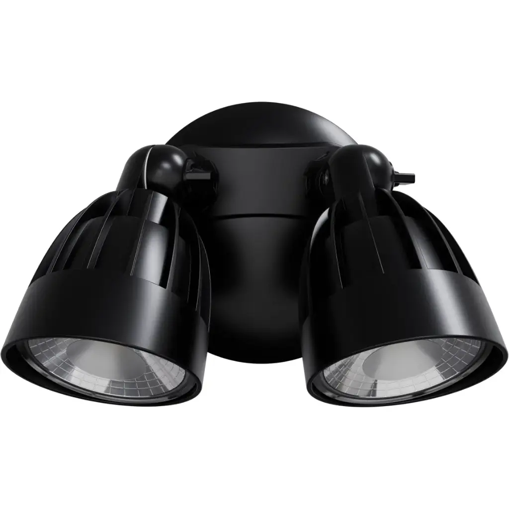 NIGHTHAWK DOUBLE LED SPOT