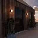 GULL RIBBED ACRYLIC LED WALL LIGHT