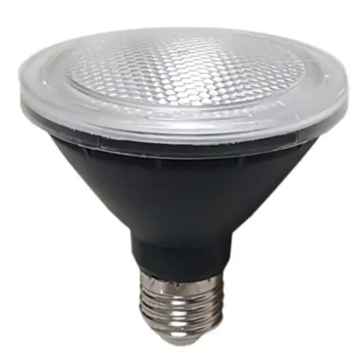 [GL PAR30LED-850] E27 10w PAR30 LED GLOBE NON-DIM 5000K